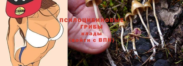 прущие крисы Арсеньев