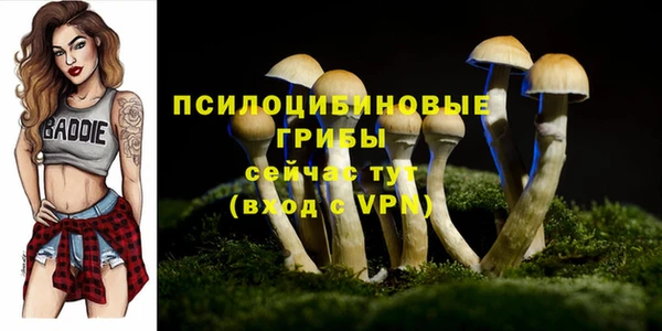 прущие крисы Арсеньев